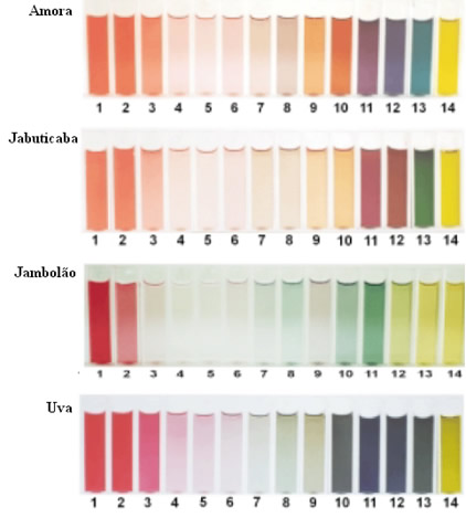 Escala de cores para diferentes pHs, obtida com o extrato de amora, jabuticaba, jambolão e uvas